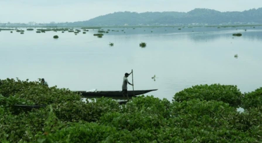 Dipor Bil, Kamrup Metropolitan, Assam - Vushii.com Dipor Bil, Kamrup Metropolitan, Assam - Vushii.com